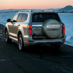 
										2024 GWM TANK 500 2.0T HEV 9HAT 4X4 ULTRA LUXURY full									