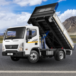 
										2024 HYUNDAI EX-8 SWB TIPPER full									