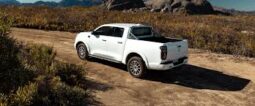 
										2024 GWM P-SERIES PV D-CAB 2.0TD LTD 4X4 8AT full									