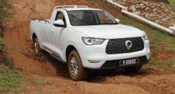 
										2024 GWM P-SERIES CV S/C 2.0TD DLX 4X2 6MT full									