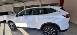 
										2024 HAVAL H6 full									